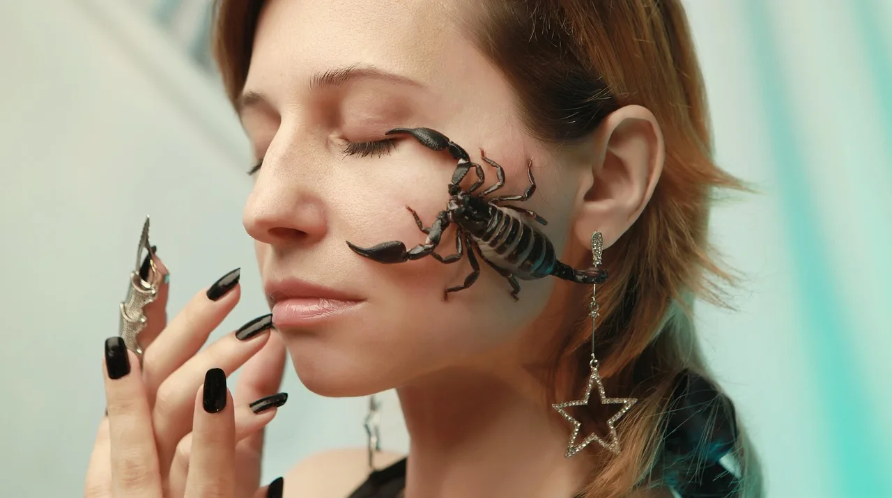 scorpion, portrait, horoscope, astrology, zodiac, constellation, young woman, sting, i, dangerous, person, extremely, bite, scorpion, scorpion, scorpion, scorpion, scorpion. Celebrity Zodiac Profile Checklist: 7 Things to Verify Before You Trust One