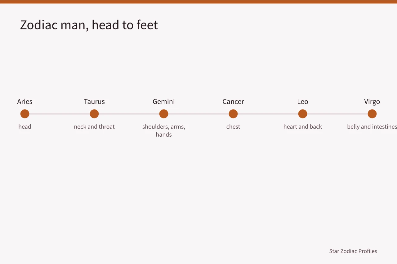 Head-to-foot sequence of zodiac signs mapped onto body parts (Taurus celebrities traits for the careful reader: the 2027 view)